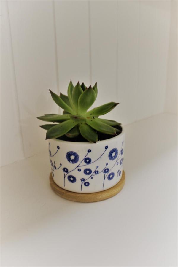 아나카프리 La Maiolica 아파트 외부 사진